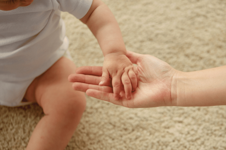 Bienvenue chez Nos Jolies Familles !